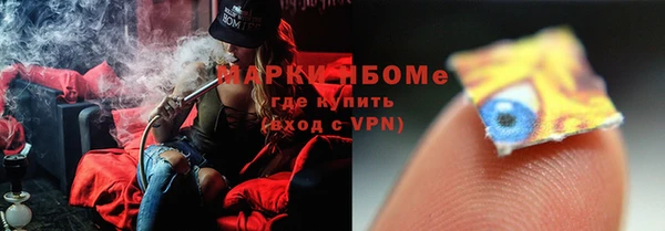 индика Беломорск