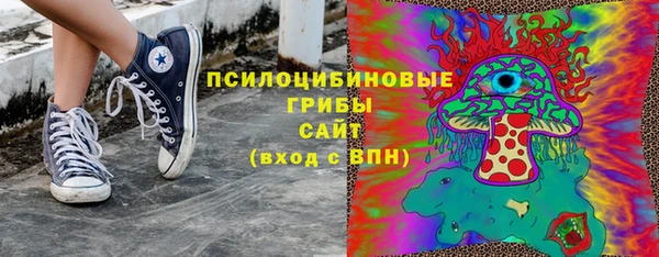 индика Беломорск