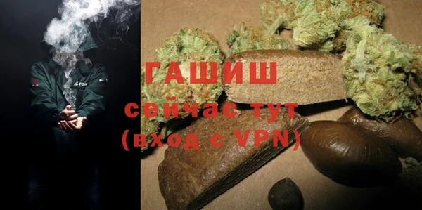индика Беломорск