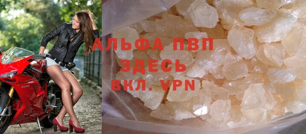 индика Беломорск