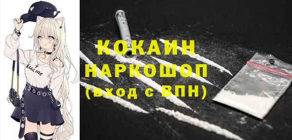 индика Беломорск