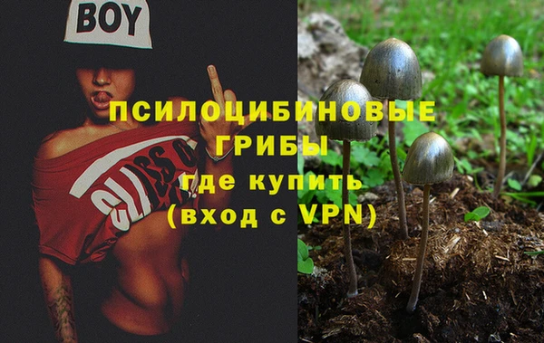индика Беломорск