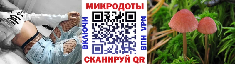 Псилоцибиновые грибы мухоморы  купить наркотик  Ермолино 